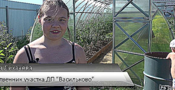 «Красивая Земля».Что выращивают в своем огороде в дачном поселке «Васильково»