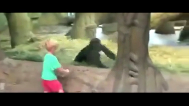 Мальчик играет с гориллой в прятки
