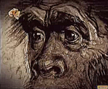 BBC - Неандерталец