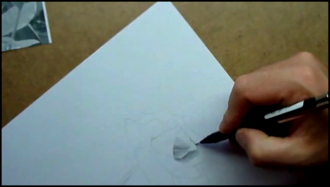 Как нарисовать розу карандашом ч.1