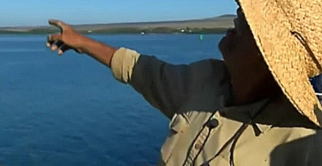 У берегов Гавайев после двух недель поисков спасли 67-летнего рыбака новости