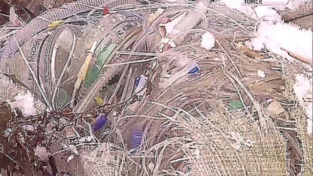 Активисты ОНФ обнаружили медицинские отходы возле «Томскнефтехима» 