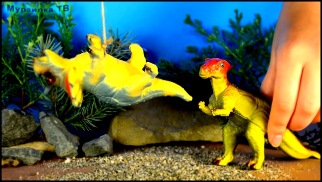 Тираннозавры и КУРИЦА :0 !!! Приключения ДИНОЗАВРОВ для детей