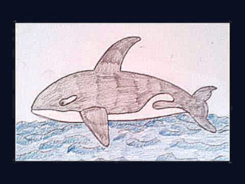 Рисуем касатку - Draw a whale - 绘制一条鲸鱼