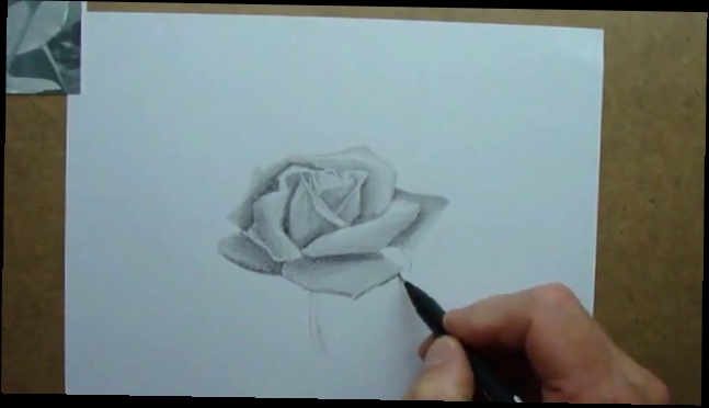 Как нарисовать розу карандашом ч.2