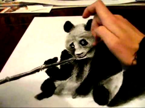 3D рисунки на бумаге - Панда / 3D drawings - Panda