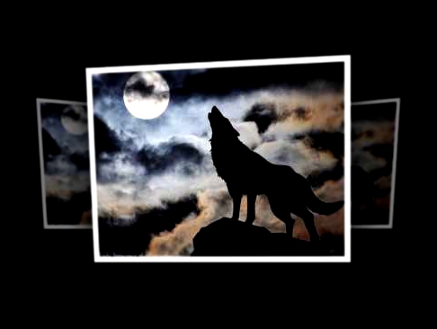 Видеоклип Стас Назимов  Одинокий волк !!!!