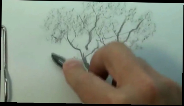 Как научиться рисовать дерево карандашом