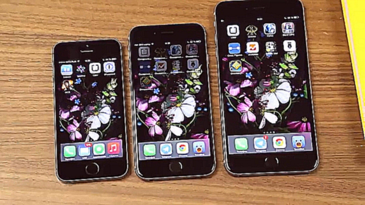 Сравнение экранов iPhone 5s, iPhone 6 и iPhone 6 Plus
