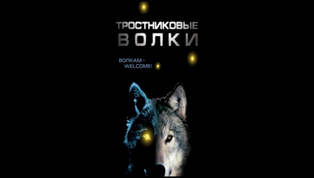 Дмитрий Савочкин  - Тростниковые волки  [  Фантастика. Андрей Кравец  ]