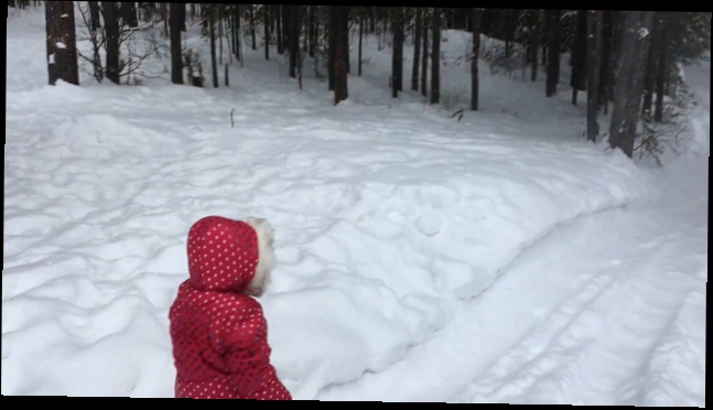 Видеоклип Катаемся на санках в снежном парке Sledding in the snow Park