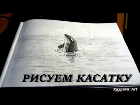 Как нарисовать касатку. How to draw a killer whale // Рисунки карандашом #13