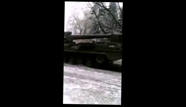 Видеоклип Только в Макеевке можно увидеть ПИОНЫ зимой. 29.01.2014