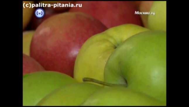 Диетолог Екатерина Белова о яблоках