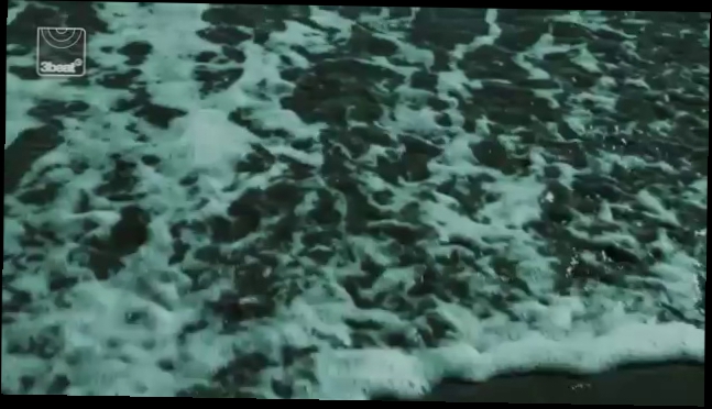 Видеоклип Paul Van Dyk Ft Arty - The Ocean (Official Video) 