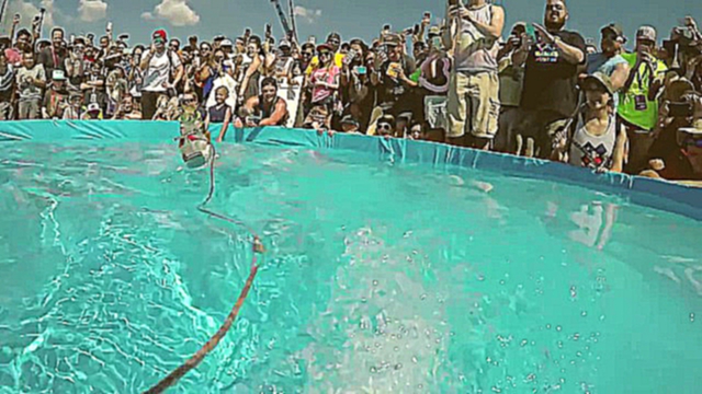 Twiggy the Waterskiing Squirrel, белка на водных лыжах!