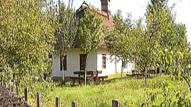 Видеоклип Cabin Windows in the garden