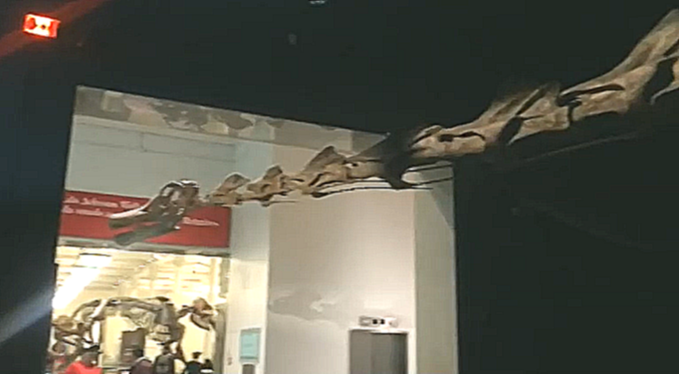 Паша Мавриди нашел в Нью-Йорке динозавров