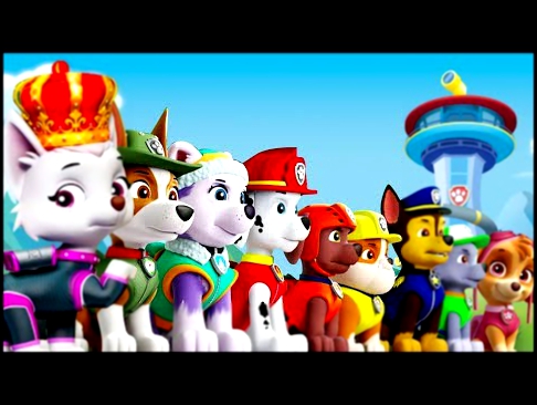 PAW Patrol: Mission PAW | Pups Rescue Team Rocky Bubble Guppies | Nickjr Fun Kids Games