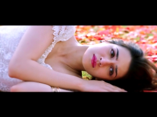 Daayre - Dilwale _ Shah Rukh Khan_ Kajol _ Varun _ Kriti _ Official Music Video 2015