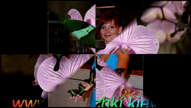 Видеоклип Живые бабочки в подарок - www.babochki.kiev.ua +38050 958-60-70 Ася 