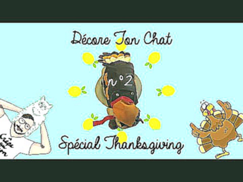 Видеоклип [DTC- 2] Décore Ton Chat - Spécial Thanksgiving, Dindon édition