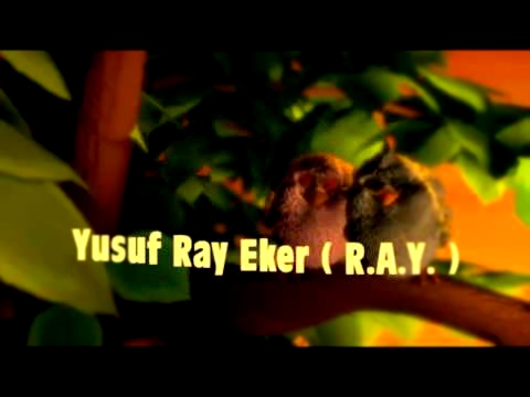 Видеоклип R.A.Y feat Duhan Aslan - Bilinmez Hikaye