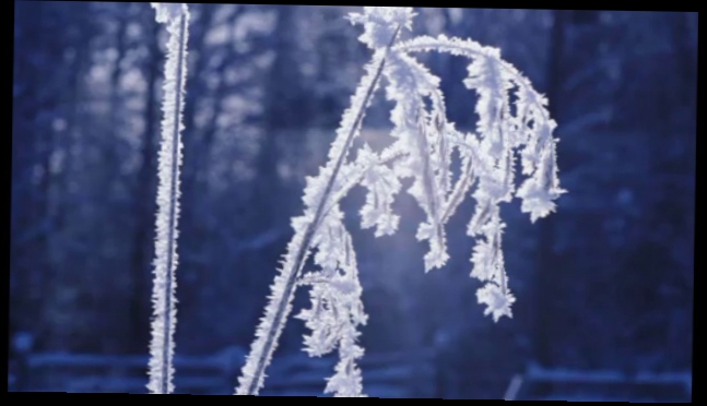 Видеоклип Antonio Vivaldi - Winter