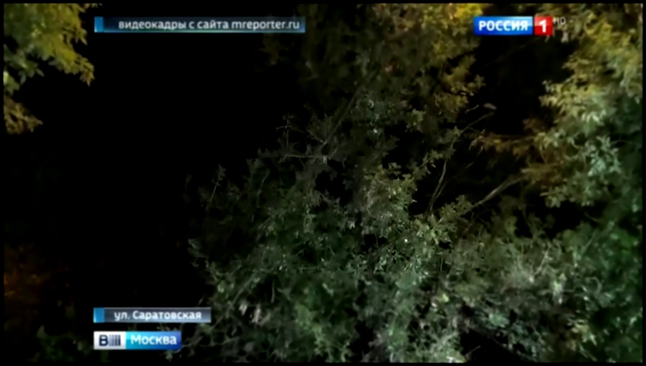 Видеоклип Ветер повалил дерево во дворе на юго-востоке Москвы