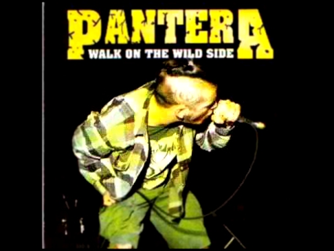 Видеоклип Pantera - This Love Live