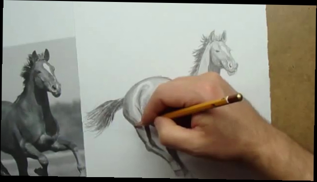 Как нарисовать лошадь в объеме