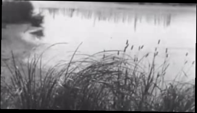 Видеоклип В краю лесной сказки (документальный фильм, 1967 год.)