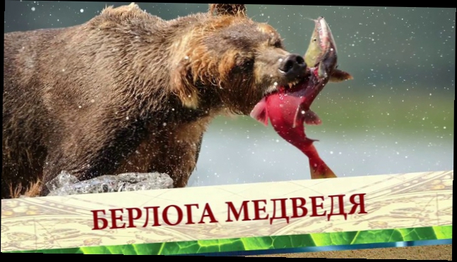 II Фестиваль Русского географического общества - открываем Россию заново! Вместе!