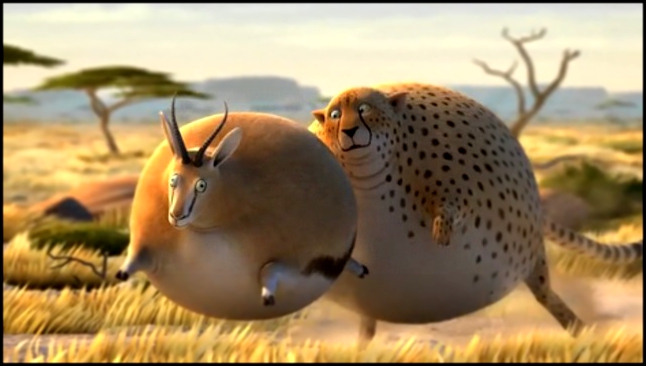 Толстые и смешные - гепард и антилопа